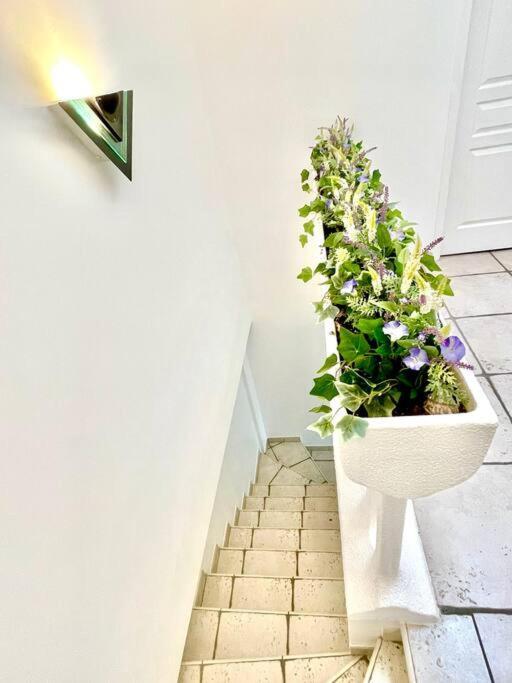 Charmante Villa Pour 10 Personnes Saint-Augustin  Exterior photo